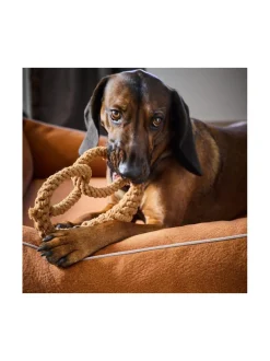 Pedit Ja Makuualustat|Laboni Ortho Buffalo ortopedinen koiranpeti - Vintage KARAMELLI