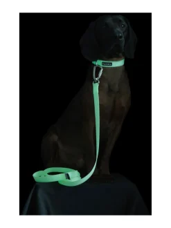 Kaulapannat Ja Talutushihnat|PAIKKA Glow Collar Pale Pink