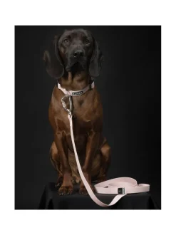 Kaulapannat Ja Talutushihnat|PAIKKA Glow Leash Pale Pink