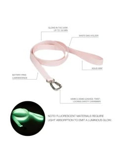 Kaulapannat Ja Talutushihnat|PAIKKA Glow Leash Pale Pink