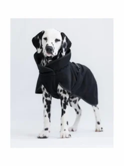 Koiran Vaatteet|PAIKKA Recovery Softshell Jacket BLACK