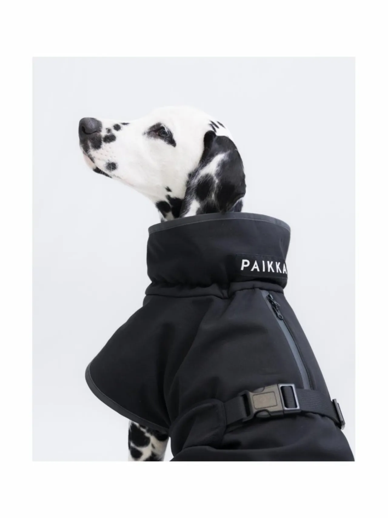 Koiran Vaatteet|PAIKKA Recovery Softshell Jacket BLACK