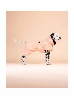 Koiran Vaatteet|PAIKKA Reflective Shell Jacket Peach