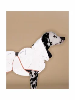 Koiran Vaatteet|PAIKKA Reflective Shell Jacket Peach