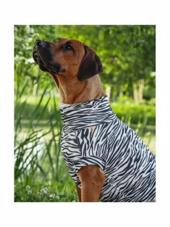 Koiran Vaatteet|PAIKKA SS25 UV & Bug Shirt