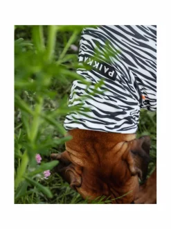 Koiran Vaatteet|PAIKKA SS25 UV & Bug Shirt