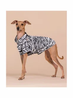 Koiran Vaatteet|PAIKKA SS25 UV & Bug Shirt