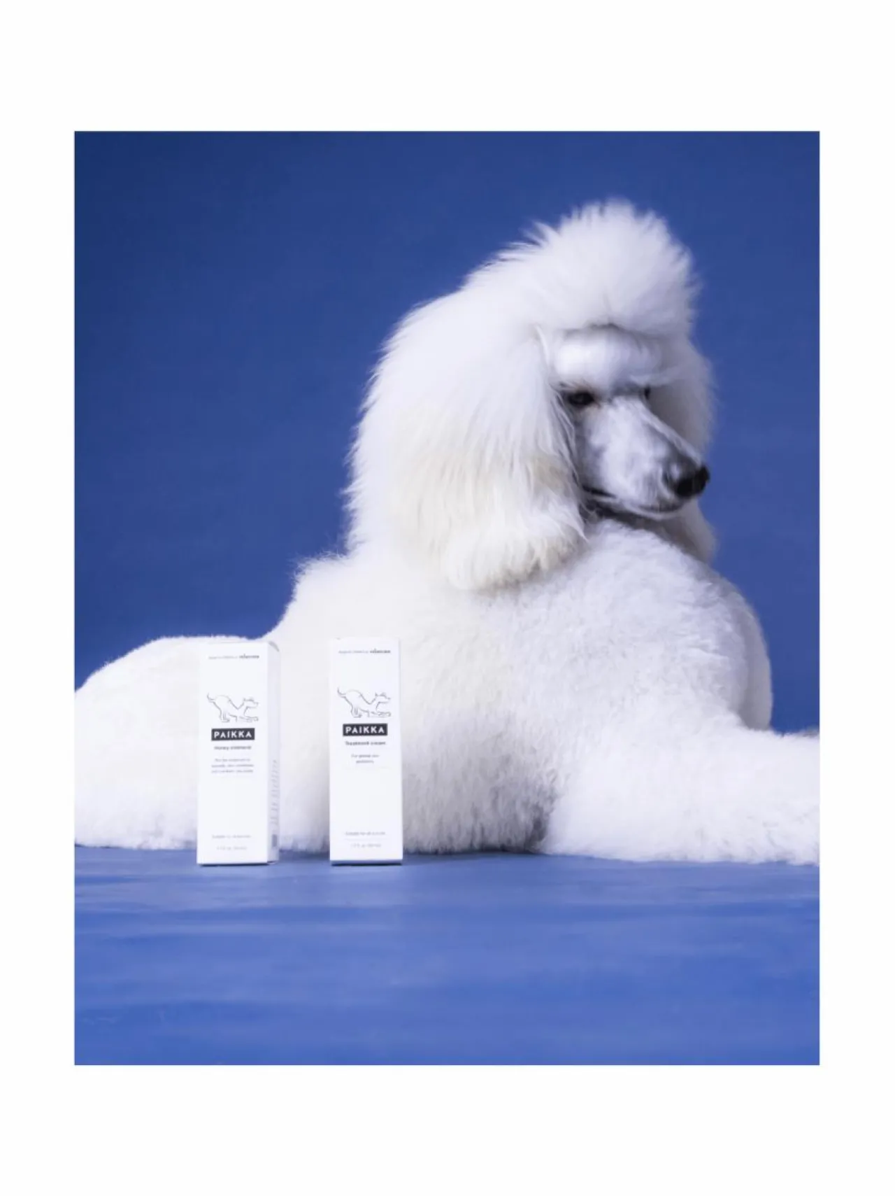 Hoitotuotteet Ja -Tarvikkeet|PAIKKA Summer Treatment Cream 50ml