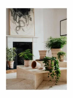 Ruukut & Istutusastiat|Bergs Potter Pantheon Raw -ruukku Ø 16 cm ROSA