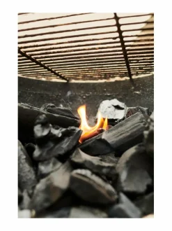 Grillit & Grillitarvikkeet|Big Green Egg Pure Charcoal -grillihiili, 9 kg BLACK