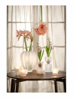 Ruukut & Istutusastiat|Wikholm Form Riffle-hyasinttivaasi, 9 x 14 cm FROSTED WHITE