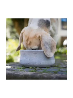 Ruokakupit Ja -Tarvikkeet|Laboni Rocky vuolukivi design ruokakulho - Harmaa