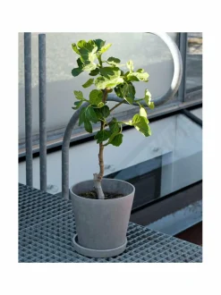 Ruukut & Istutusastiat|HAY Ruukku ja aluslautanen ø 14 cm HARMAA