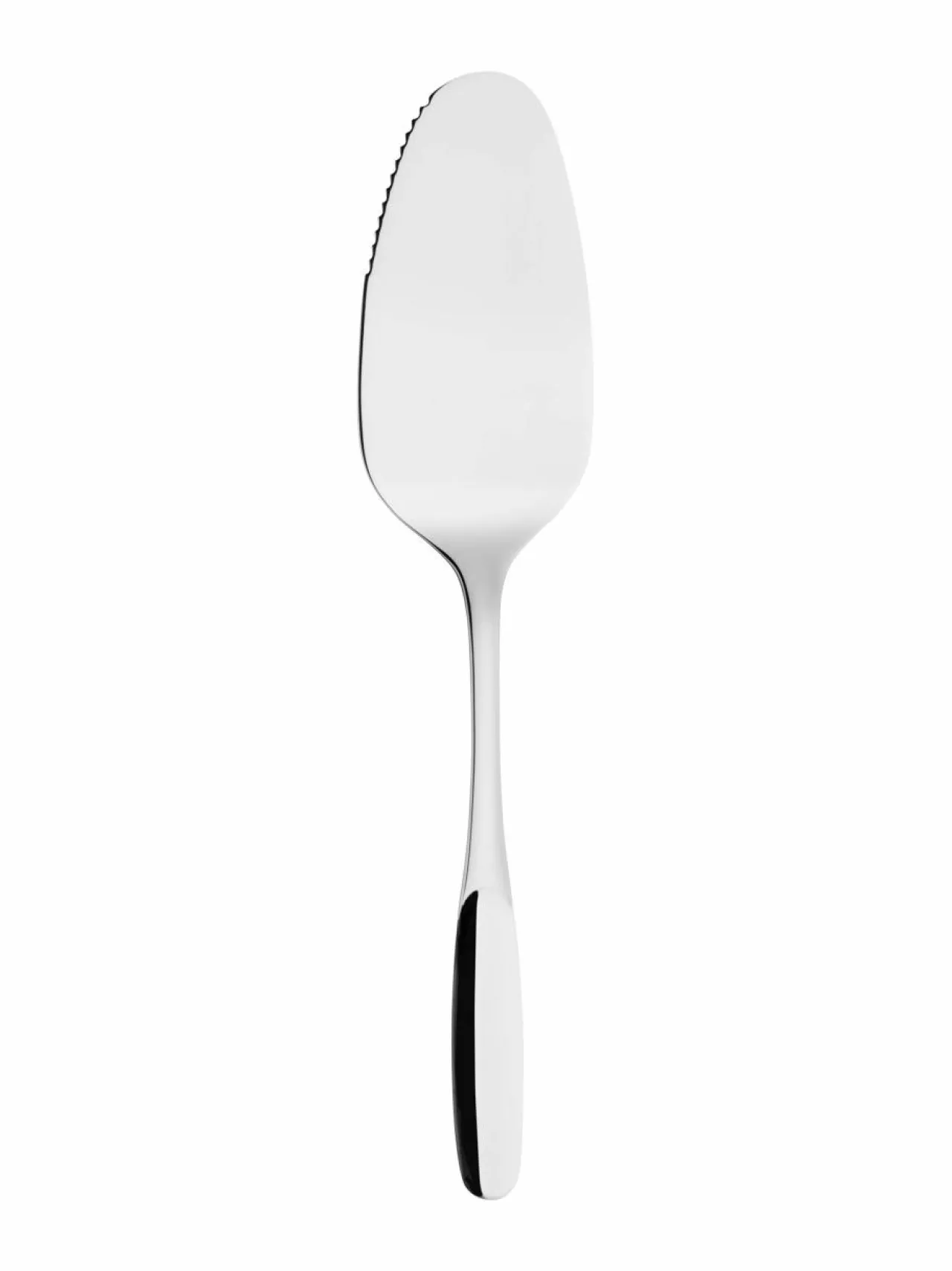 Aterimet & Tarjoiluvälineet|Hackman Savonia- aterinpakkaus 16 kpl ja kakkulapio STEEL