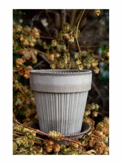 Ruukut & Istutusastiat|Bergs Potter Simona-ruukku Ø 16 cm GREY