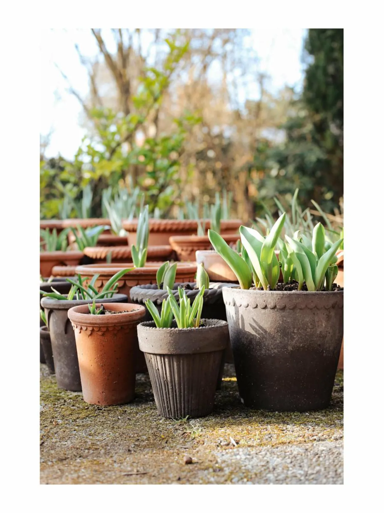 Ruukut & Istutusastiat|Bergs Potter Simona-ruukku Ø 16 cm GREY