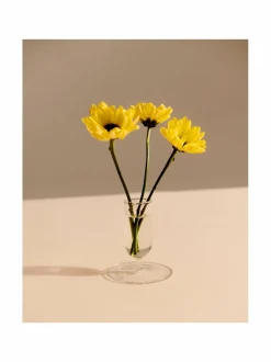 Koriste-Esineet|HAY Tiny-lasimaljakko CLEAR