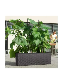 Ruukut & Istutusastiat|Lechuza Trio Stone Altakasteluruukku 100x32cm, korkeus 34cm + jalat 15 cm + köynnöskehikko VALKOINEN