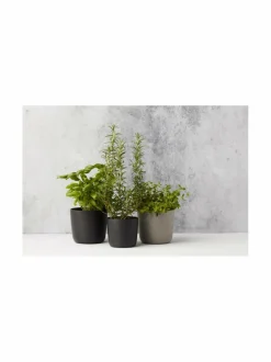 Ruukut & Istutusastiat|Point Virgule Urban Jungle - ruukku Ø 18 cm BLACK