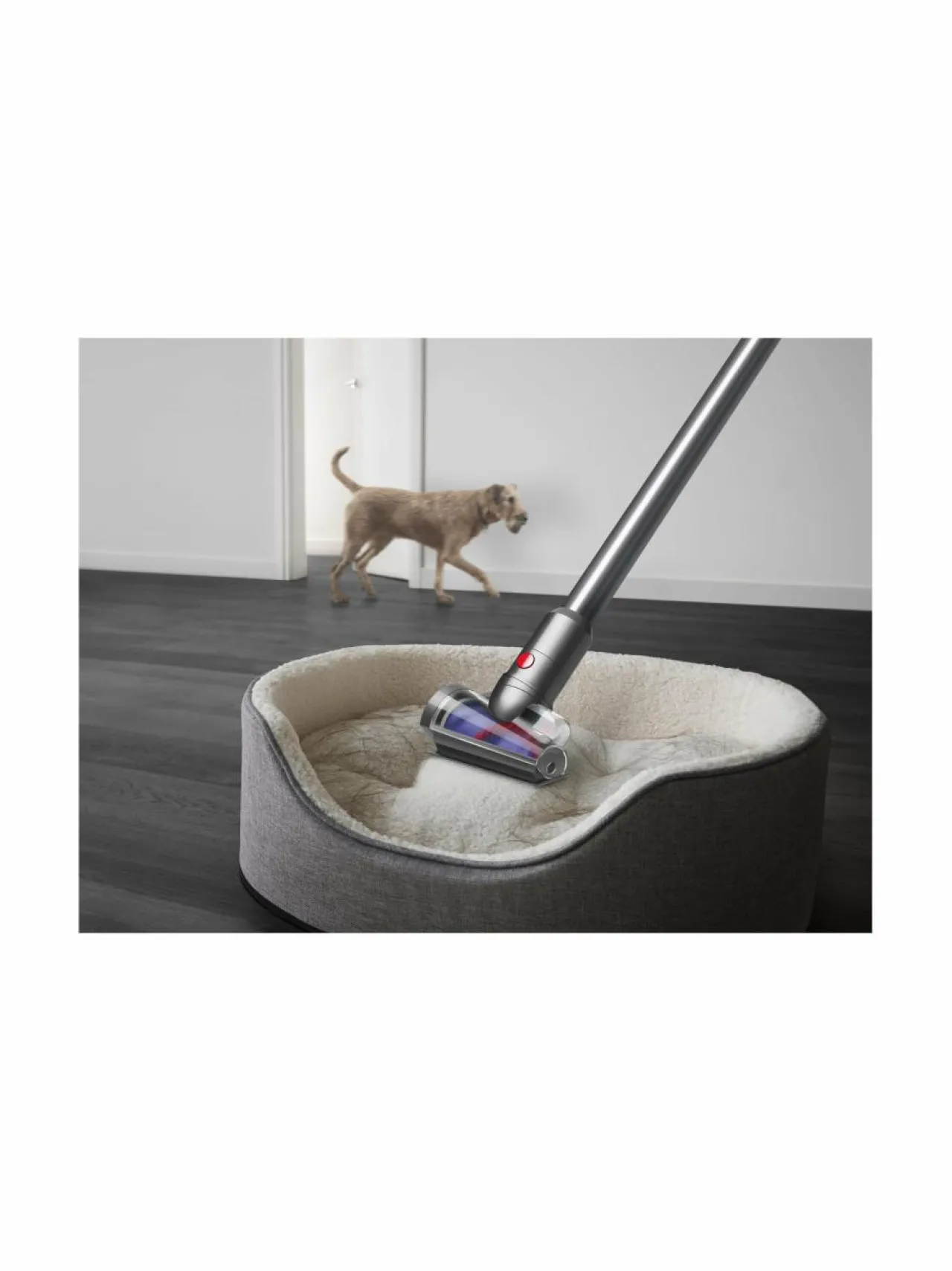 Pölynimurit|Dyson V12 Detect Slim Absolute -johdoton imuri YELLOW/NICKEL