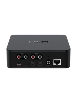 Audio|WiiM Pro audio streamer MUSTA